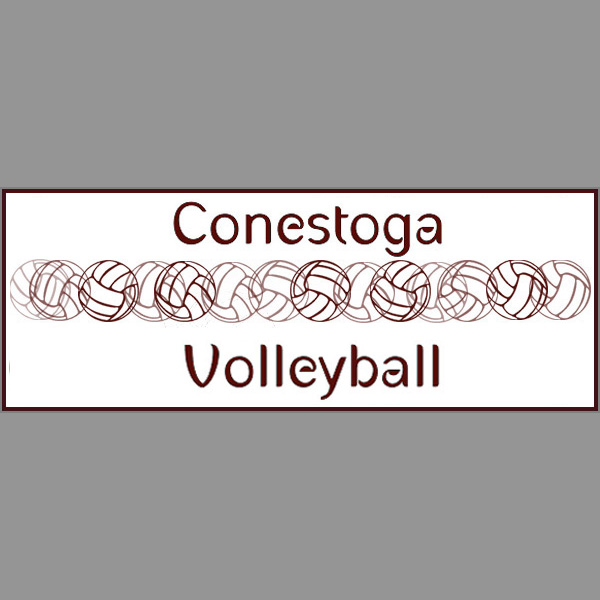 AIO SEO Conestoga Volleyball Logo